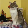 Отзыв от Альфия Белоусова